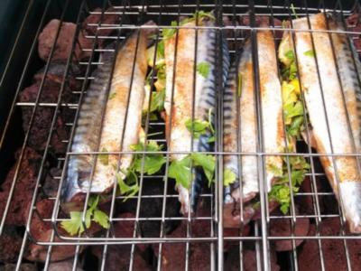 Makrele auf Lava Steine gegrillt - Rezept