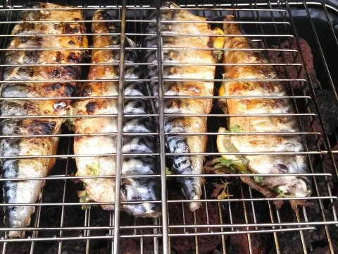 Makrele auf Lava Steine gegrillt - Rezept - Bild Nr. 2