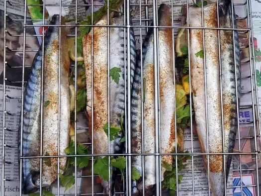 Makrele auf Lava Steine gegrillt - Rezept - Bild Nr. 3