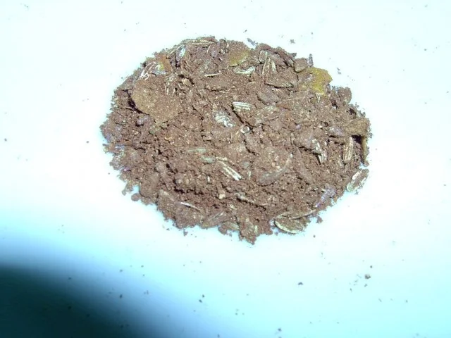 Kaffeegewürzmischung mit Kakao - Rezept - Bild Nr. 2