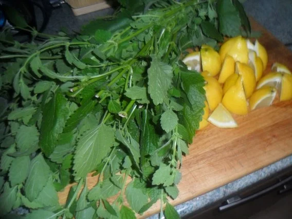 zitronenmelisse-ingwer-sirup - Rezept - Bild Nr. 3