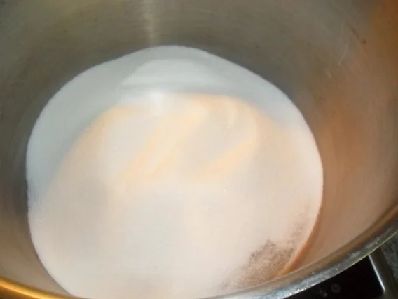 zitronenmelisse-ingwer-sirup - Rezept - Bild Nr. 5