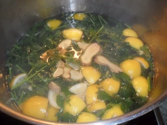 zitronenmelisse-ingwer-sirup - Rezept - Bild Nr. 6