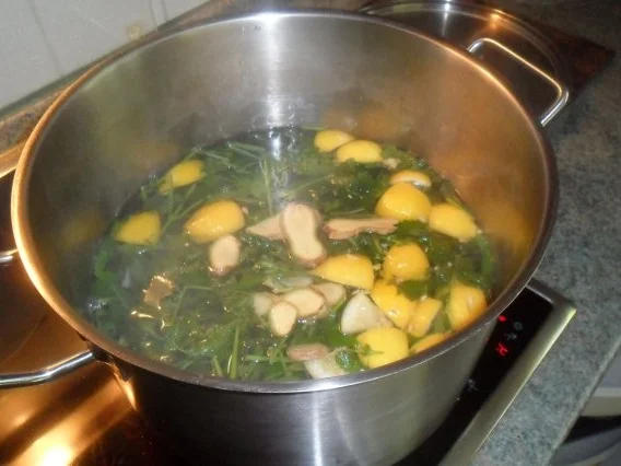 zitronenmelisse-ingwer-sirup - Rezept - Bild Nr. 7