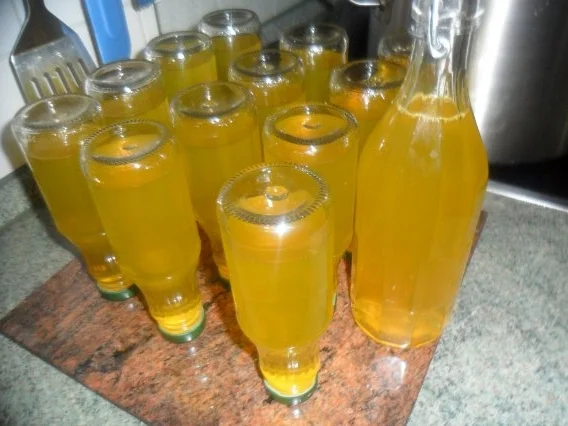 zitronenmelisse-ingwer-sirup - Rezept - Bild Nr. 8