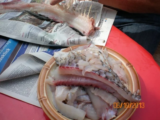 Fischfrikadellen vom Graskarpfen - Rezept - Bild Nr. 3