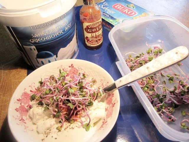 Frischkäse-Dip ... - Rezept - Bild Nr. 4