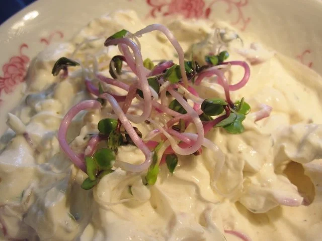 Frischkäse-Dip ... - Rezept - Bild Nr. 6