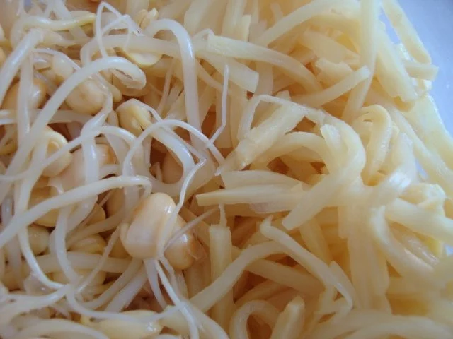 Rezept: " Thai Suppe " nach SuppenGeniesser Art Bild Nr. 9 " Thai Suppe " nach SuppenGeniesser Art - Rezept - Bild Nr. 9