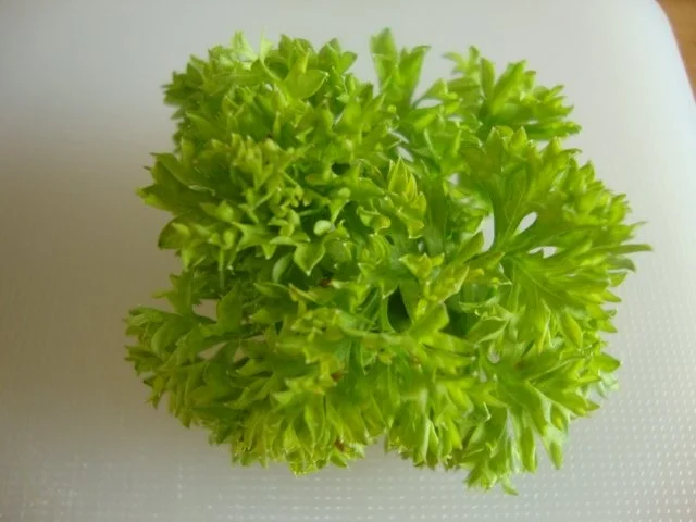 Italienische Minestrone nach "SuppenGeniesser Art " - Rezept - Bild Nr. 10