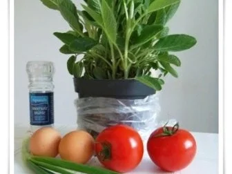 Sommerliches  Omelett mit Blümchen - Rezept - Bild Nr. 4