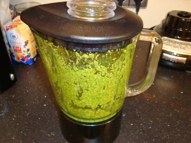 Rucola-Pesto mit Chili - Rezept - Bild Nr. 2