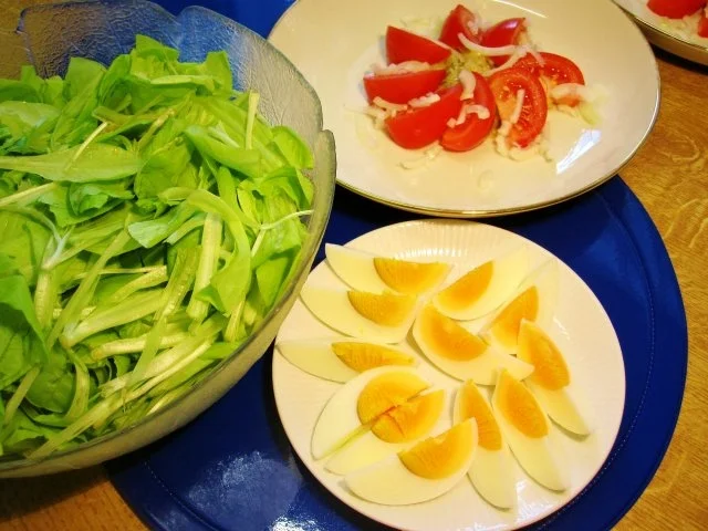 Junger Blattsalat aus Nachbars Garten - appetitlich angerichtet - Rezept - Bild Nr. 4