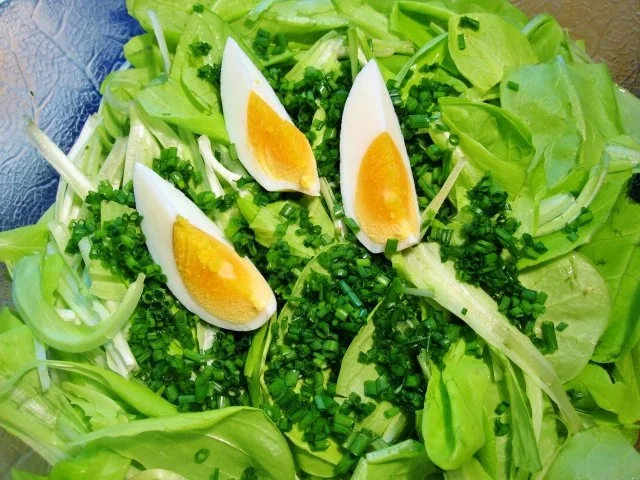 Junger Blattsalat aus Nachbars Garten - appetitlich angerichtet - Rezept - Bild Nr. 5