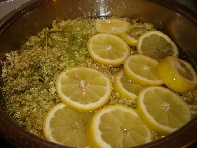 Holunderblütensirup - Rezept - Bild Nr. 6
