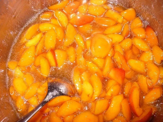 Rezept: Aprikosenkonfitüre Bild Nr. 7 Aprikosenkonfitüre - Rezept - Bild Nr. 7