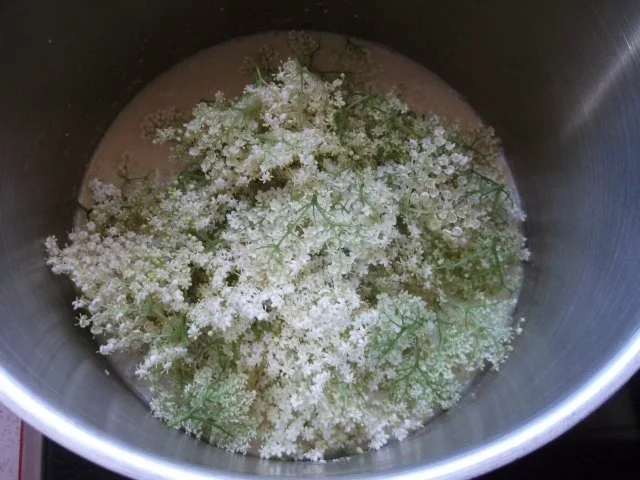 Ananas-Kokos-Holundergelee - Rezept - Bild Nr. 4