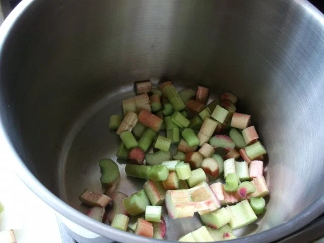 Rezept: Rhabarbersirup Bild Nr. 4 Rhabarbersirup - Rezept - Bild Nr. 4