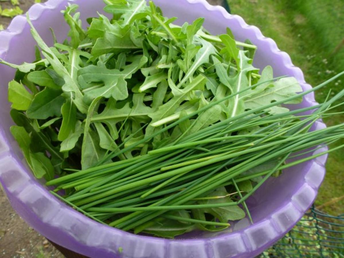 Wilde Rauke Salat mit Frikadelle - Rezept - Bild Nr. 5