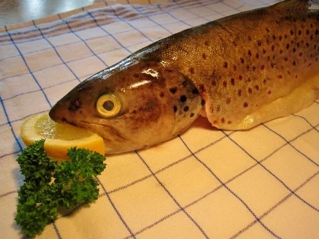 Forellen aus dem Ofen - Rezept - Bild Nr. 3