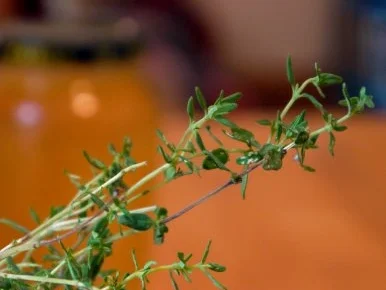 Rezept: Überbackenes Zwiebel-Cidre-Huhn Bild Nr. 4 Überbackenes Zwiebel-Cidre-Huhn - Rezept - Bild Nr. 4