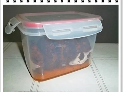 Rezept: Würzige Stampfkartoffeln mit Bulette und Gemüse dazu. Bild Nr. 8 Würzige Stampfkartoffeln mit Bulette und Gemüse dazu. - Rezept - Bild Nr. 8