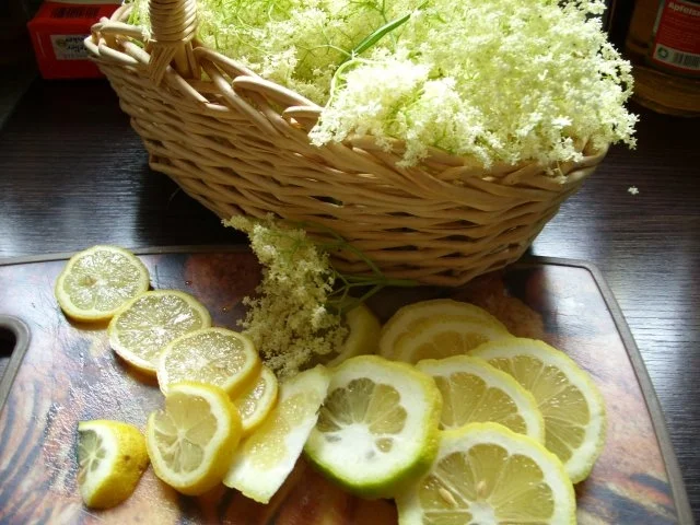 Rezept: Konfitüre & Co: Holunderblütengelee 2013 Konfitüre & Co: Holunderblütengelee 2013 - Rezept