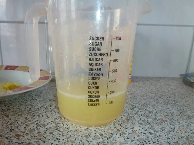 Zitronen-Ingwer-Limo - Rezept - Bild Nr. 7