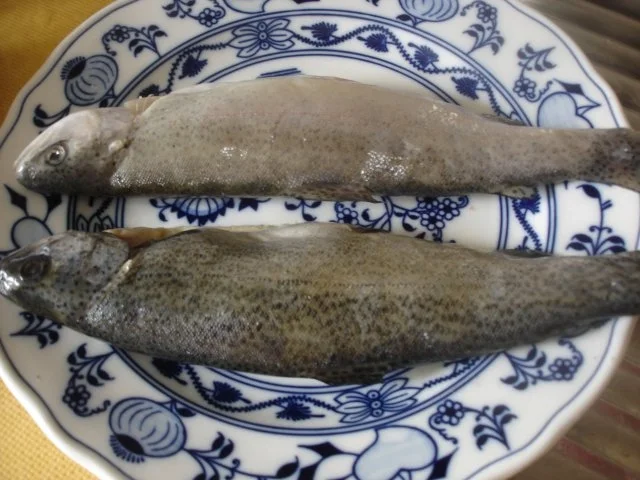 Forelle Müllerin mit Tomaten-Paprika-Gurken-Gemüse und Kartoffelpilzen - Rezept - Bild Nr. 2