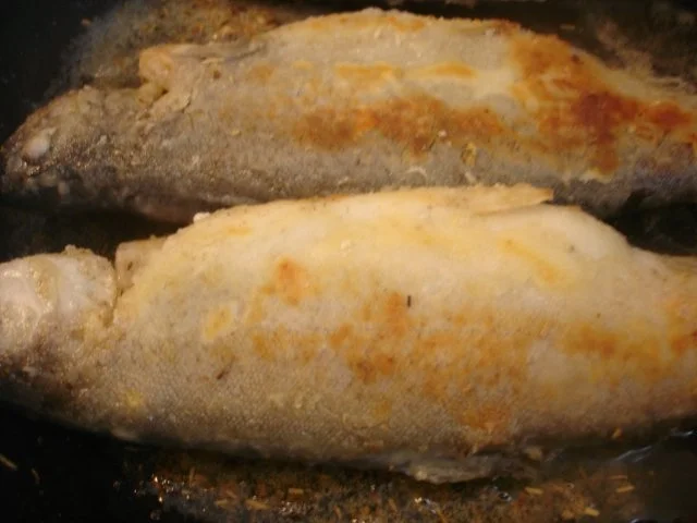 Forelle Müllerin mit Tomaten-Paprika-Gurken-Gemüse und Kartoffelpilzen - Rezept - Bild Nr. 6