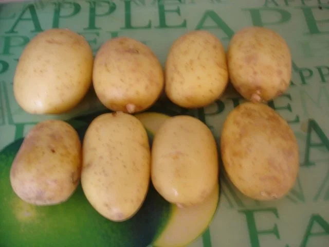 Forelle Müllerin mit Tomaten-Paprika-Gurken-Gemüse und Kartoffelpilzen - Rezept - Bild Nr. 14