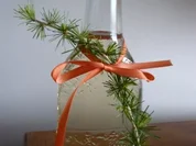 Lärchen - Likör - Rezept