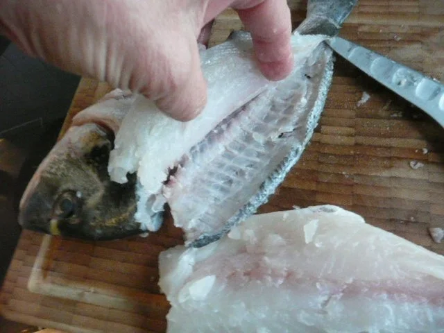 Rezept: SASHIMI / DORADENFILET ASIATISCH Bild Nr. 3 SASHIMI / DORADENFILET ASIATISCH - Rezept - Bild Nr. 3