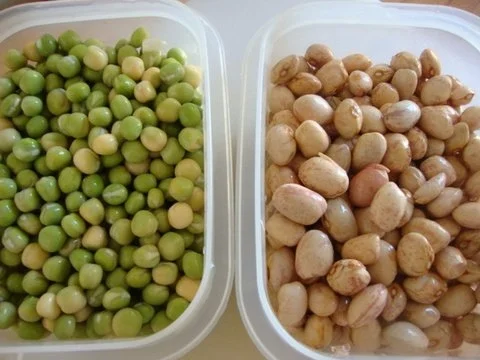 Minestrone - klassisch - Rezept - Bild Nr. 10