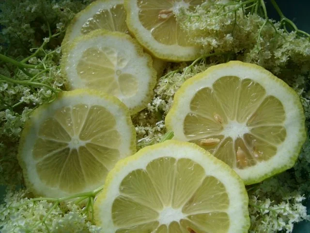 Getränke: Holunderblütensirup 2013 - Rezept