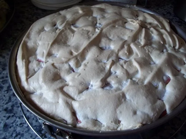 Rezept: Rhabarbertorte Bild Nr. 6 Rhabarbertorte - Rezept - Bild Nr. 6