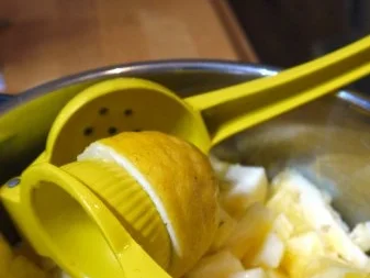 Ananas-Minz-Marmelade - Rezept - Bild Nr. 3