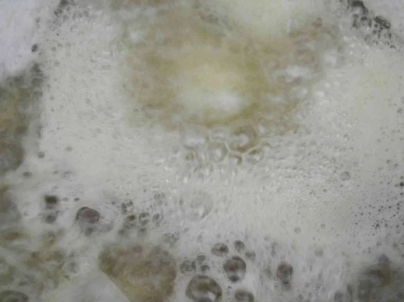 Aus dem Backofen : Spargel auf Reis-Schlagcreme mit Petersilien - Brot - Kruste überbacken - Rezept - Bild Nr. 5