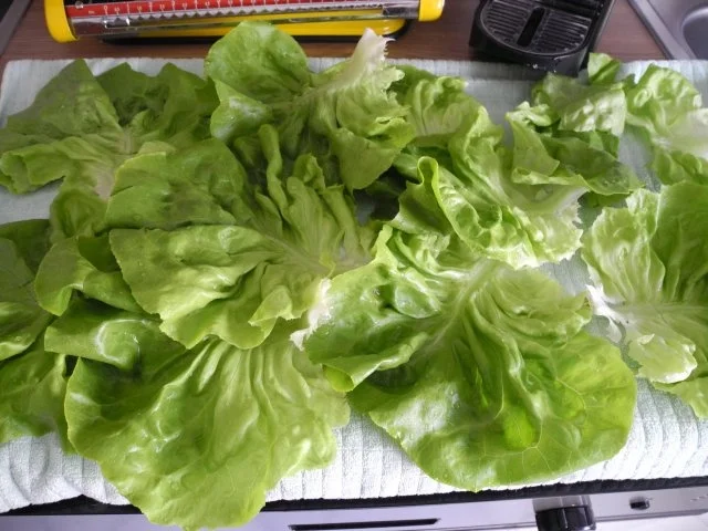 Aus dem Backofen : Spargel auf Reis-Schlagcreme mit Petersilien - Brot - Kruste überbacken - Rezept - Bild Nr. 15