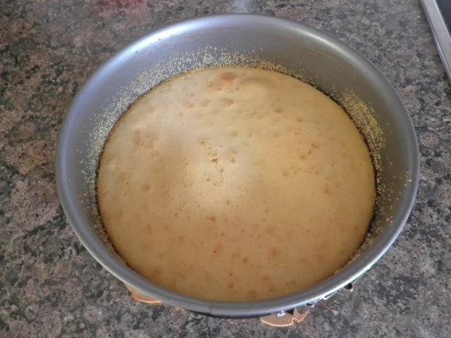 Kleine Erdbeer - Käse - Torte ... - Rezept - Bild Nr. 8