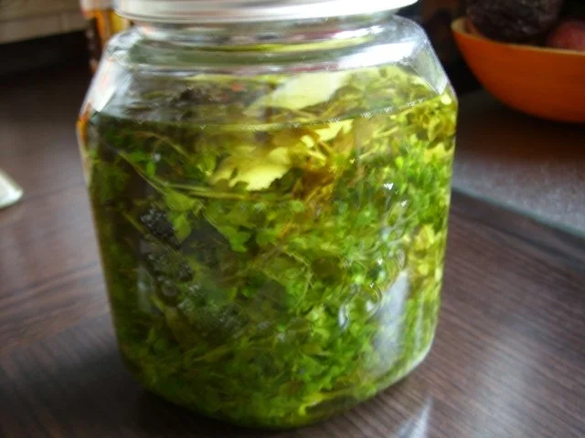 Rezept: Likör: Basilikumlikör Bild Nr. 3 Likör: Basilikumlikör - Rezept - Bild Nr. 3