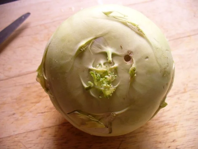 Gemüsecremesüppchen mit panierten Kohlrabischeiben - Rezept - Bild Nr. 3