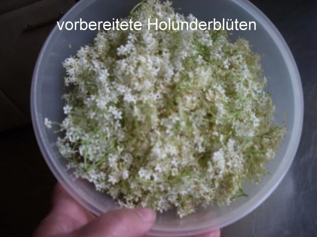 Holunder Blüten - Gelee - Rezept - Bild Nr. 2
