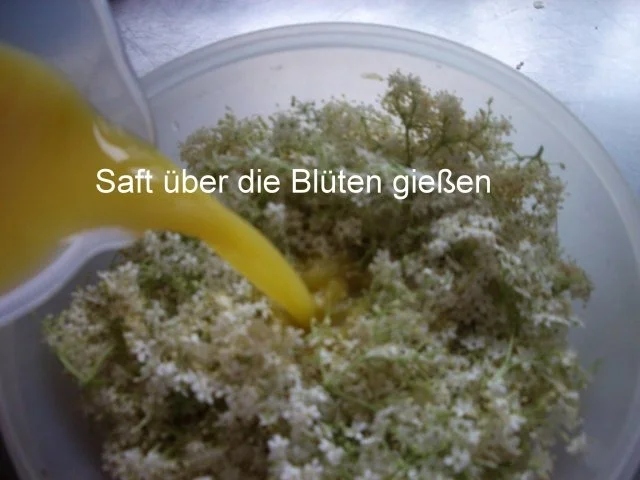 Holunder Blüten - Gelee - Rezept - Bild Nr. 4