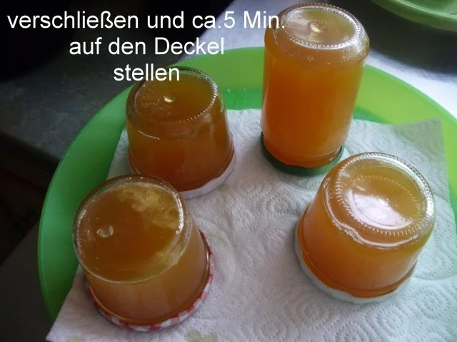 Holunder Blüten - Gelee - Rezept - Bild Nr. 14