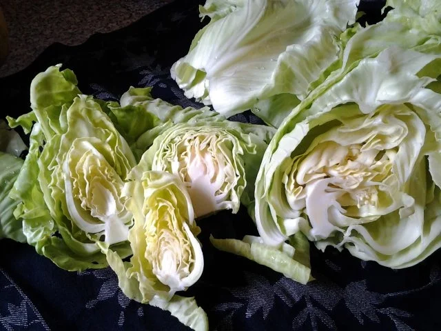 Rezept: Krautsalat Krautsalat - Rezept