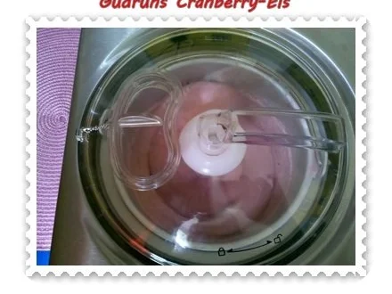 Eis: Cranberry-Eis - Rezept - Bild Nr. 6