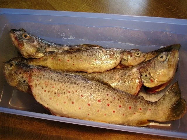 Rezept: Forellen geräuchert ... Bild Nr. 2 Forellen geräuchert ... - Rezept - Bild Nr. 2