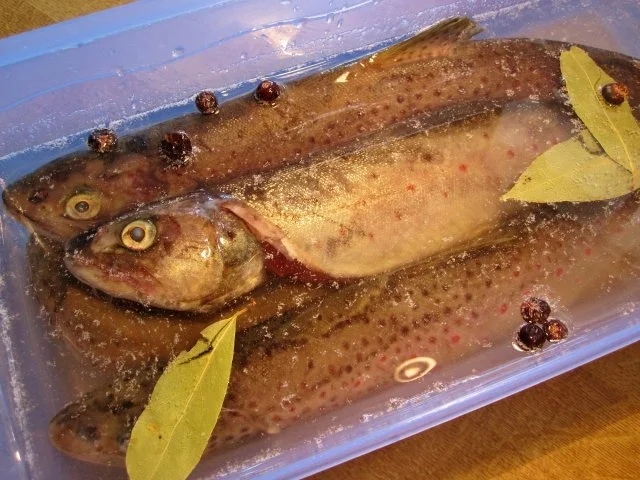 Rezept: Forellen geräuchert ... Bild Nr. 3 Forellen geräuchert ... - Rezept - Bild Nr. 3