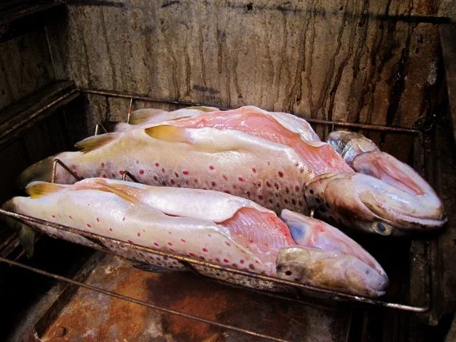 Rezept: Forellen geräuchert ... Bild Nr. 6 Forellen geräuchert ... - Rezept - Bild Nr. 6